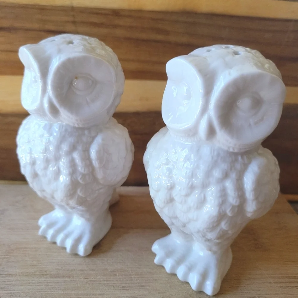 White Ceramic Owl Salt and Pepper Larger Shaker Set - Picture 2 of 8